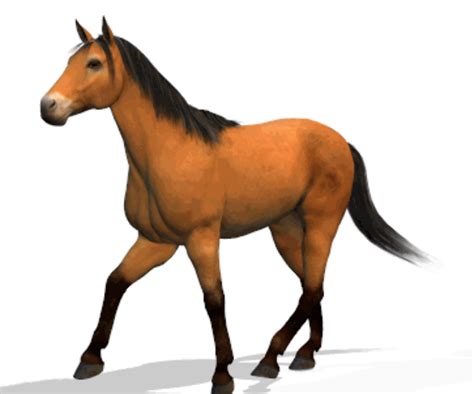 free clip art horse|realistic horse clip art.